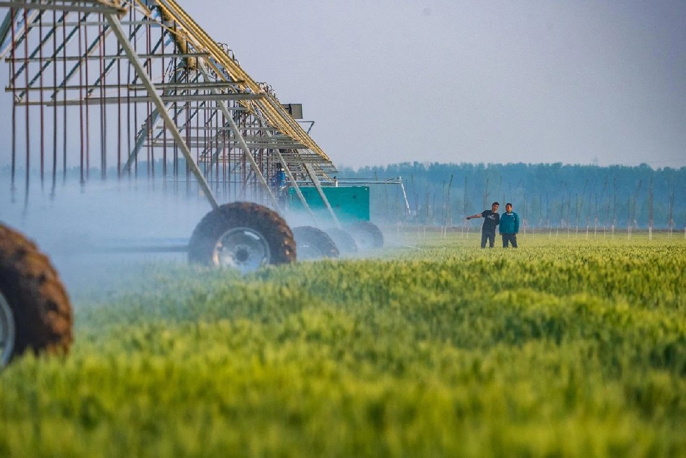 2024年“三农”工作规划发布